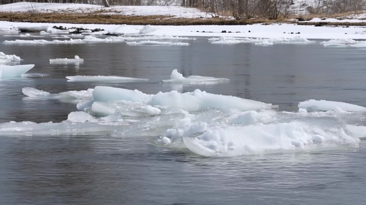 Ledové kry plující po říční vodě, klidný zatažený den u zasněženého břehu, nízké modrobílé ledové útvary.
