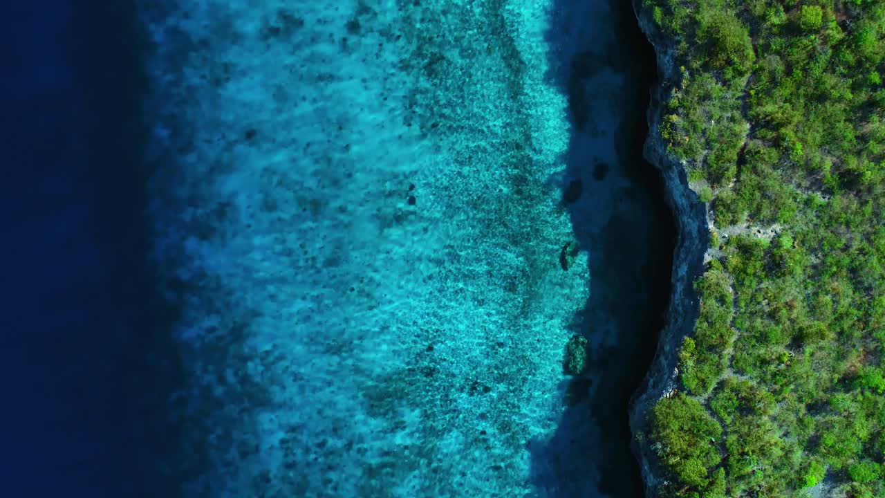 Panorâmica de drone de cima para baixo sobre uma costa tropical azul mística com recife, areia, falésia e plantas.