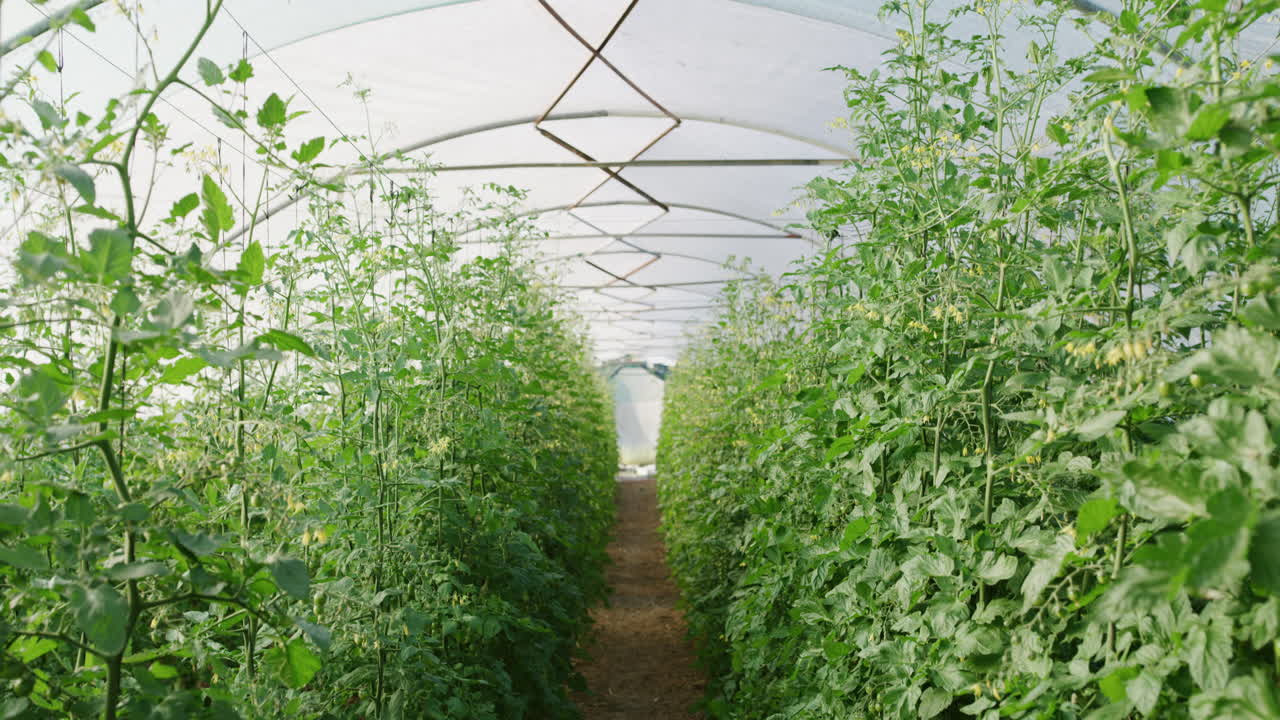 este es el ambiente ideal para el crecimiento.