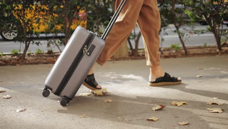 person walking with luggage on a city street