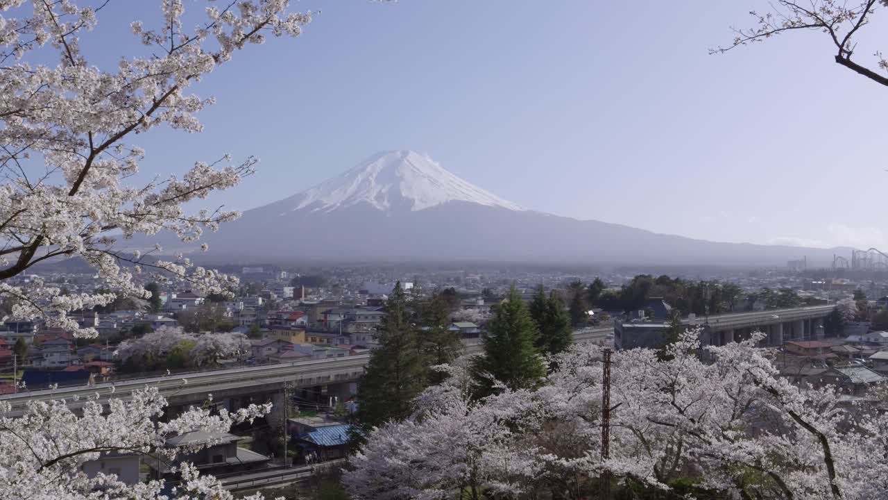 Highway running in front of Mt. Fuji framed by beautiful Sakura trees