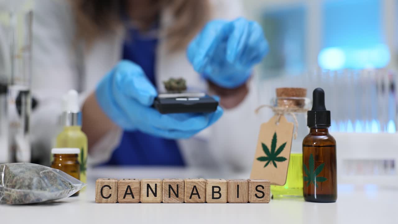 研究室でCBDオイル研究のため大麻のつぼみを計量する科学者。