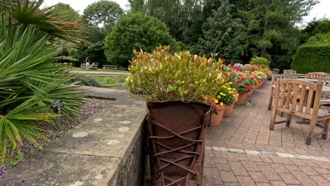 camera smoothly moves past a boot repurposed as a flower planter, highlighting purple blooms and garden seating in bright, natural daylight