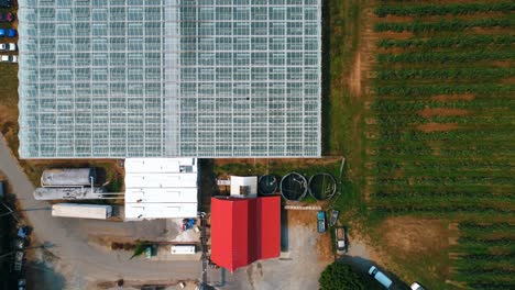 Green-farm-covered-with-rooftop-glass-4k