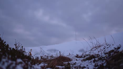 a man walks through the snow on a windy day