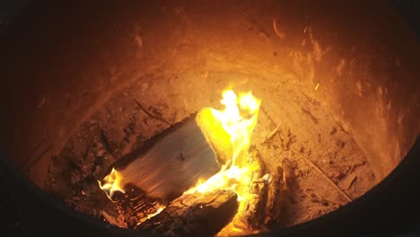 Bonfire,-Close-Up-View-Of-Tree-Branch-Burning-Fire