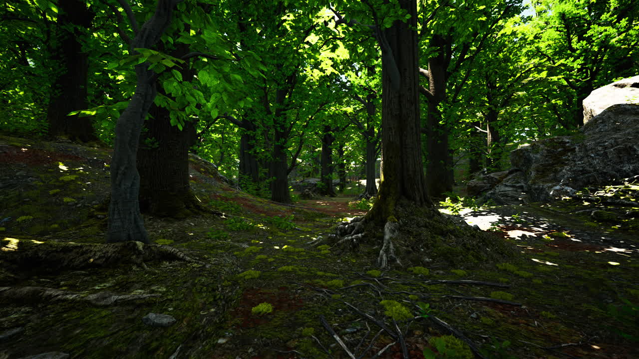 la luz del sol fluye a través de un denso bosque