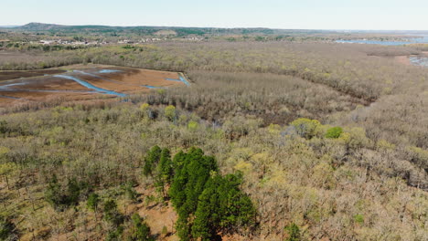 Paisaje-Natural-En-El-área-De-Vida-Silvestre-De-Bell-Slough-En-Arkansas,-Estados-Unidos---Toma-Aérea