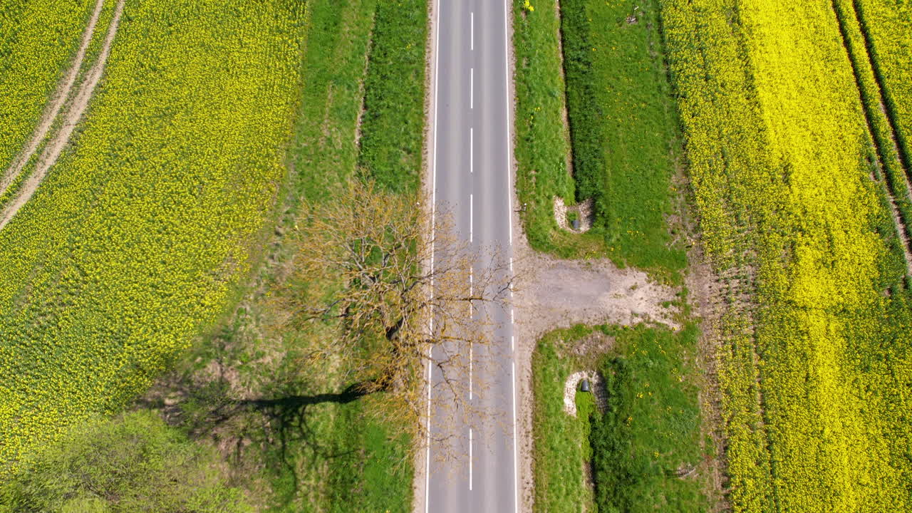 기름 씨  ⁇  들 사이 에 있는 시골 도로 위 에 있는 공기,  ⁇ 은 차 가 지나간다