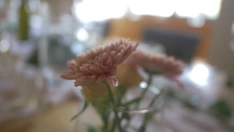 blooming chrysanthemum flower in a glass vase