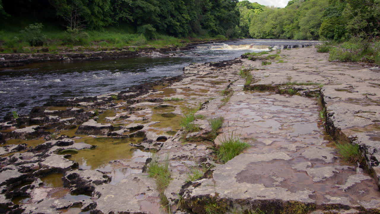 tomada amplia mirando hacia el río ure con algunos agujeros de piedra caliza de queso suizo a la izquierda del marco en las cataratas inferiores en aysgarth falls, yorkshire dales