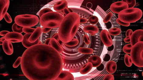 digital gear and red blood cells