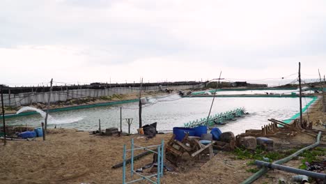 Shrimp-aquaculture-farm-in-Vietnam,-Static-view