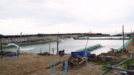 shrimp aquaculture farm in vietnam, static view