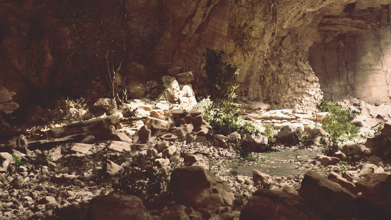 explorando una cueva tranquila con vegetación y formaciones rocosas naturales