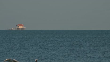visto desde lejos un templo budista en medio del mar mientras las aves marinas vuelan alrededor, tailandia