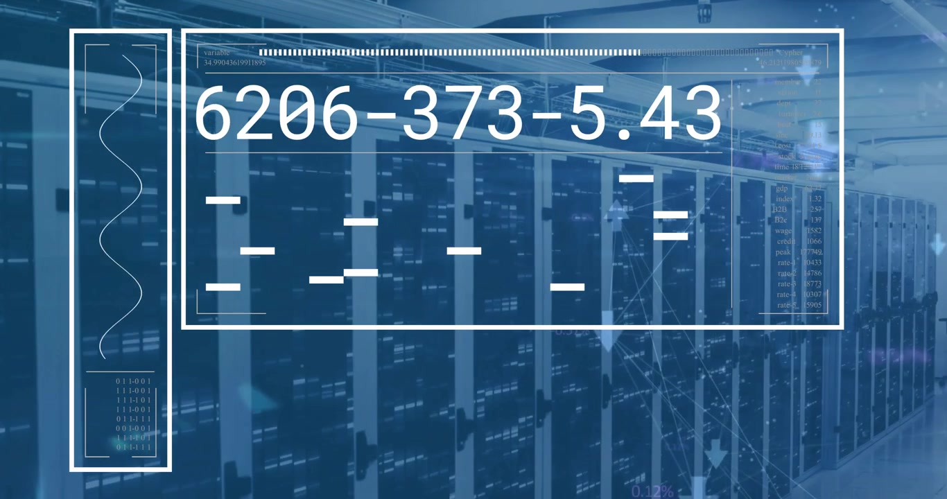 Animation of data processing over computer servers