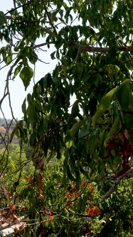 under a clear blue sky, vibrant blossoms and lush foliage dance in the gentle breeze. nature comes alive as colors blend, creating a calming atmosphere perfect for reflection
