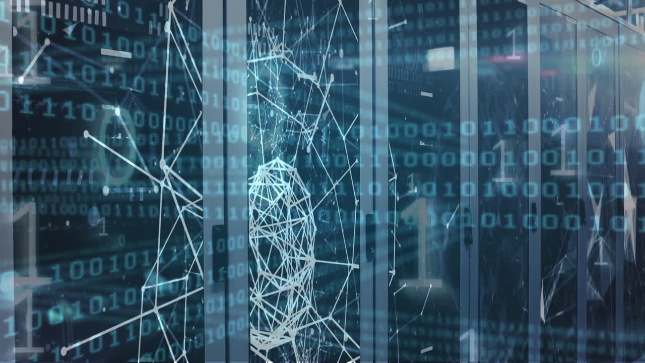 Animation of networks of connections and binary coding data processing over computer servers