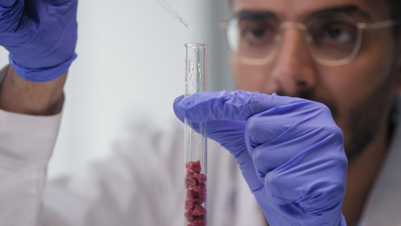 Scientist examining meat sample in test tube