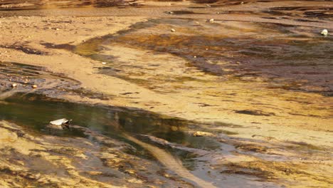 agua ácida contaminada y suelo de la mina sao domingos en portugal, vista panorámica derecha