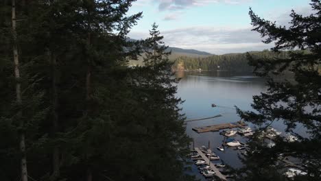 Aerial-view-of-trees-and-boat-dock-in-Deep-Cove,-a-community-in-north-Vancouver,-British-Columbia