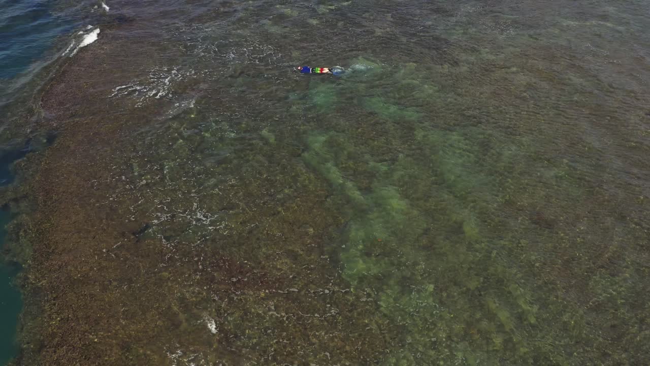파나마 산호초 열대 해안선을 탐험하는 스쿠버 다이버 위의 조감도