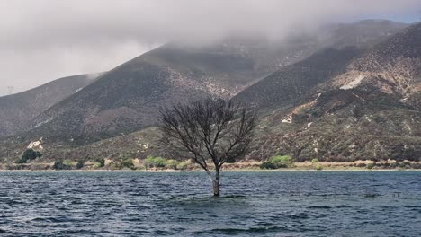 telephoto-aerial-of-a-dead-tree-inside-of-bouquet-reservoir-on-a-dreary-rainy-foggy-day-with-transmission-distribution-towers-in-the-background-AERIAL-STATIC-60fps