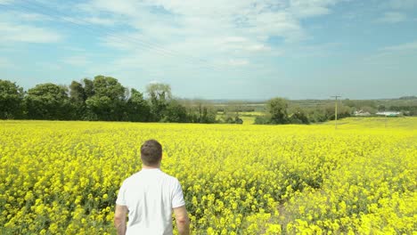 farmer looking at his field of rapeseed crops in ireland. - aerial shot