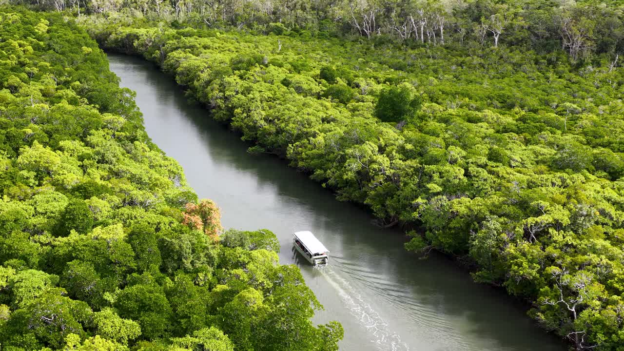 Aerial drone footage follows a tour boat gliding along a winding river through dense, vibrant rainforest in Port Douglas, Queensland. Bright daylight, smooth camera pan
