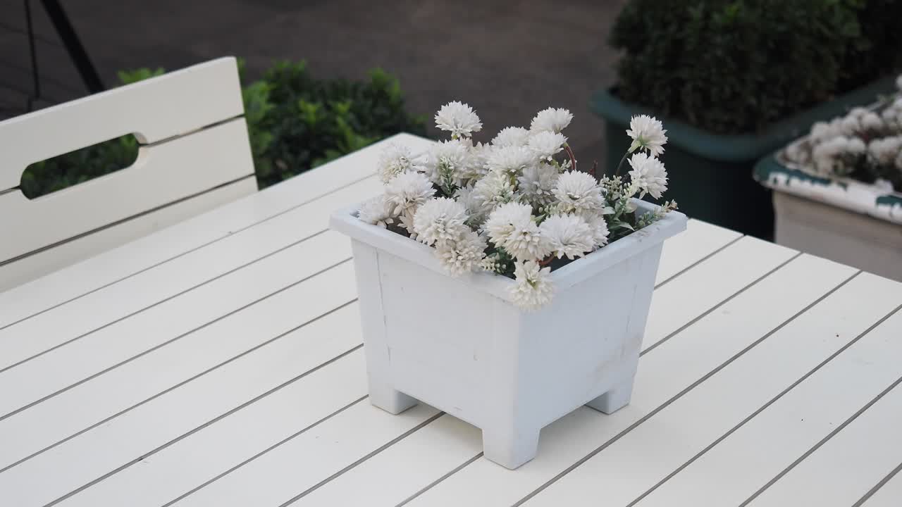 un primer plano de una olla de flores blancas con flores blancas en una mesa blanca