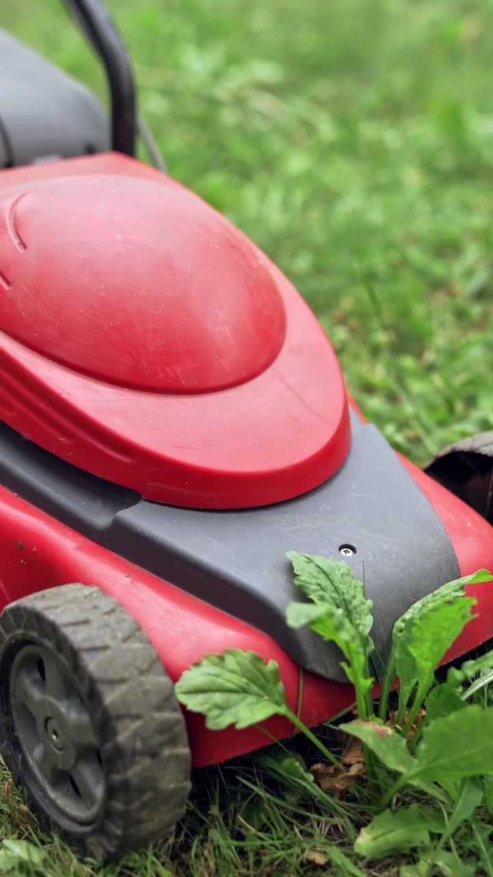 Slow motion of lawn mower on the ground. Red electric machine cutting green grass in the garden in summer. Vertical video
