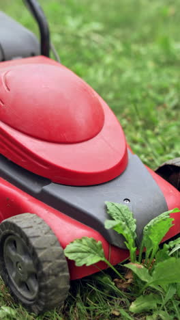 slow motion of lawn mower on the ground. red electric machine cutting green grass in the garden in summer. vertical video