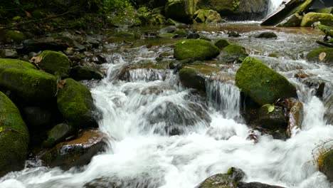 Schnell-Fließende-Stromschnellen-Im-Tropischen-Wald