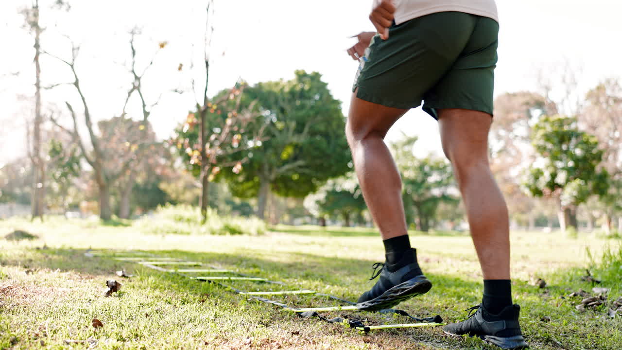 공원 운동, 속도 사다리