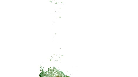 mango falling in water on white background
