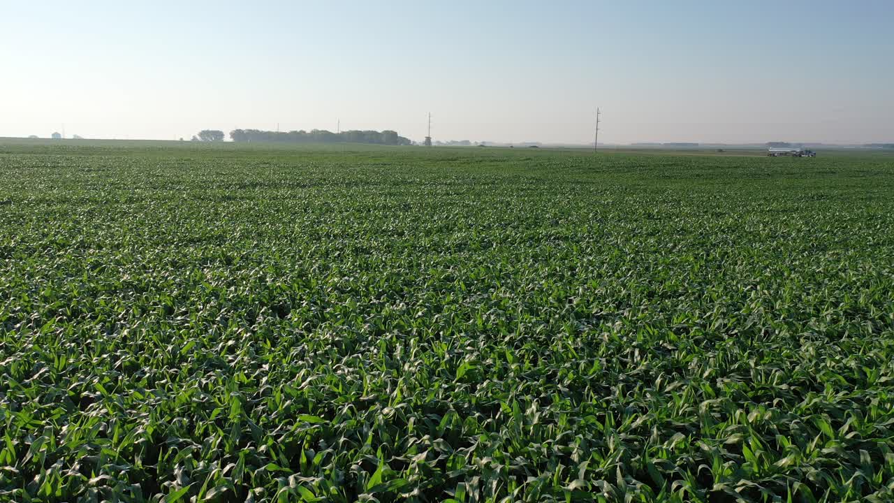 paisaje de campo de maíz