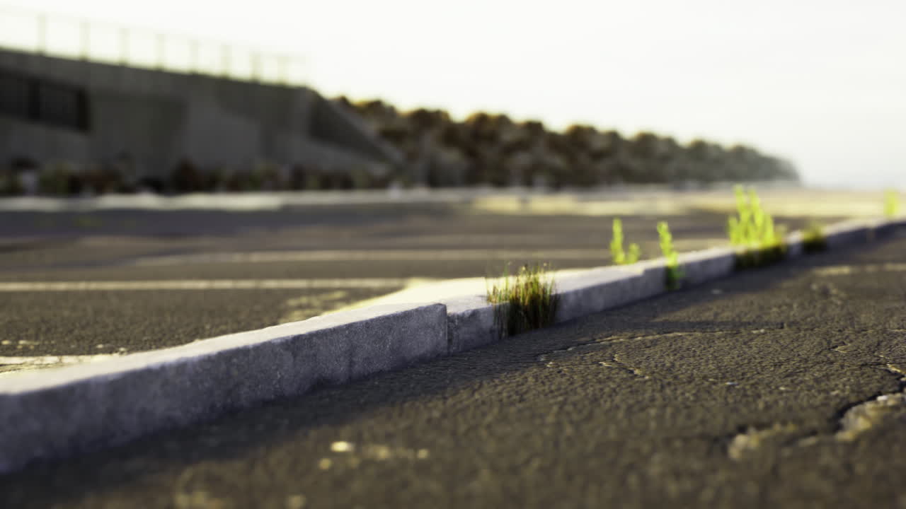 Abandoned parking lot showing nature reclaiming concrete at sunset