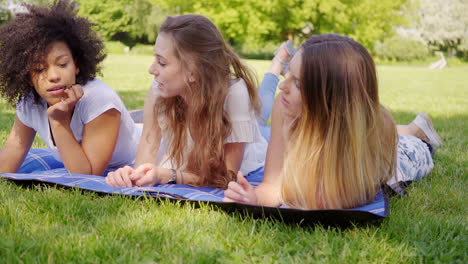 beautiful women communicating on grass