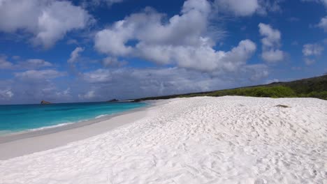 white sand and turquoise water beach of the galapagos islands. waves are crashing in the shore. blue skies and white clouds on the back.