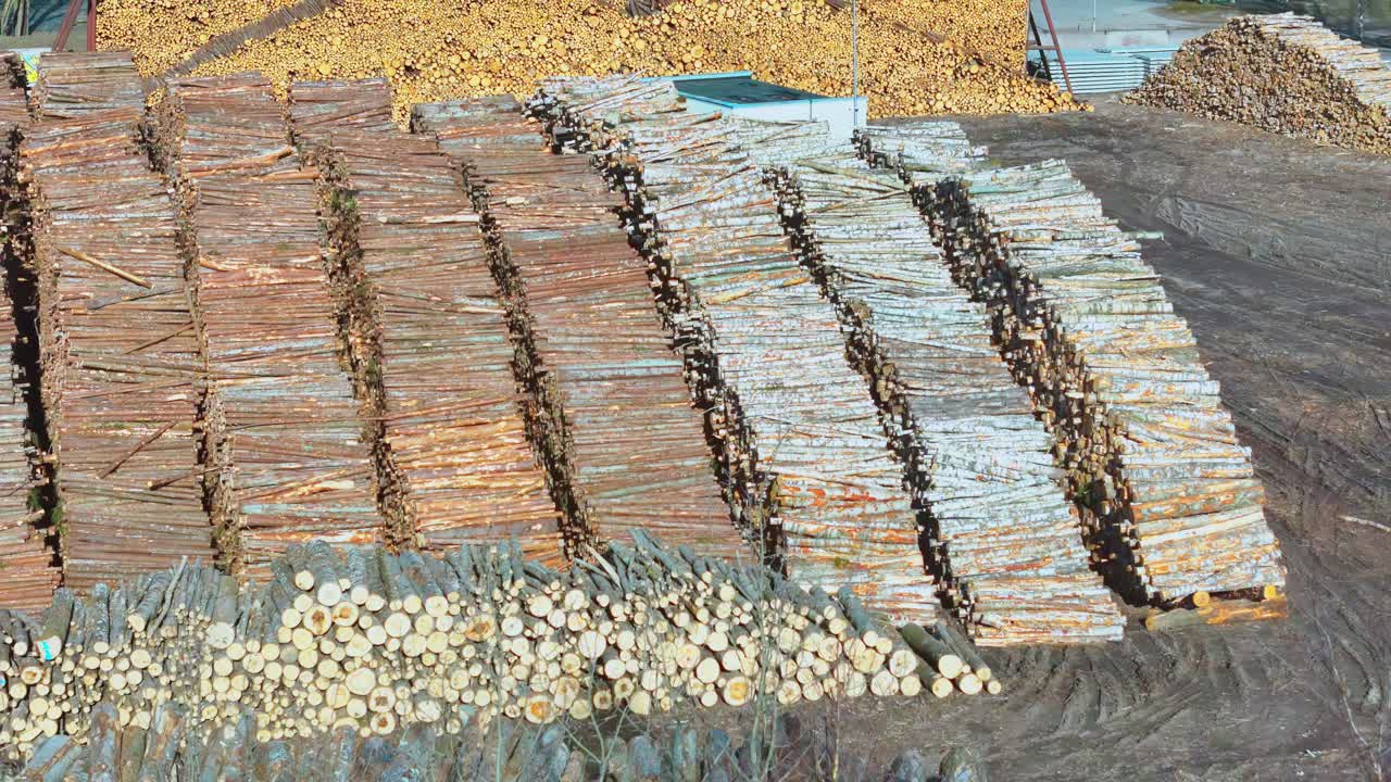 Industrial port log yard: massive stacks of timber and freshly cut logs in various browns and grays under a bright, captured with a high-angle drone view emphasizing the scale of raw materials