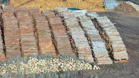 industrial port log yard: massive stacks of timber and freshly cut logs in various browns and grays under a bright, captured with a high-angle drone view emphasizing the scale of raw materials