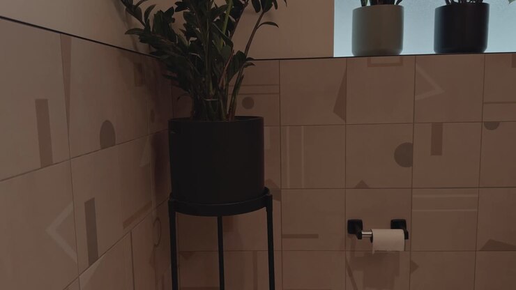 Slow motion steady forward glide toward indoor plants on a bathroom window ledge