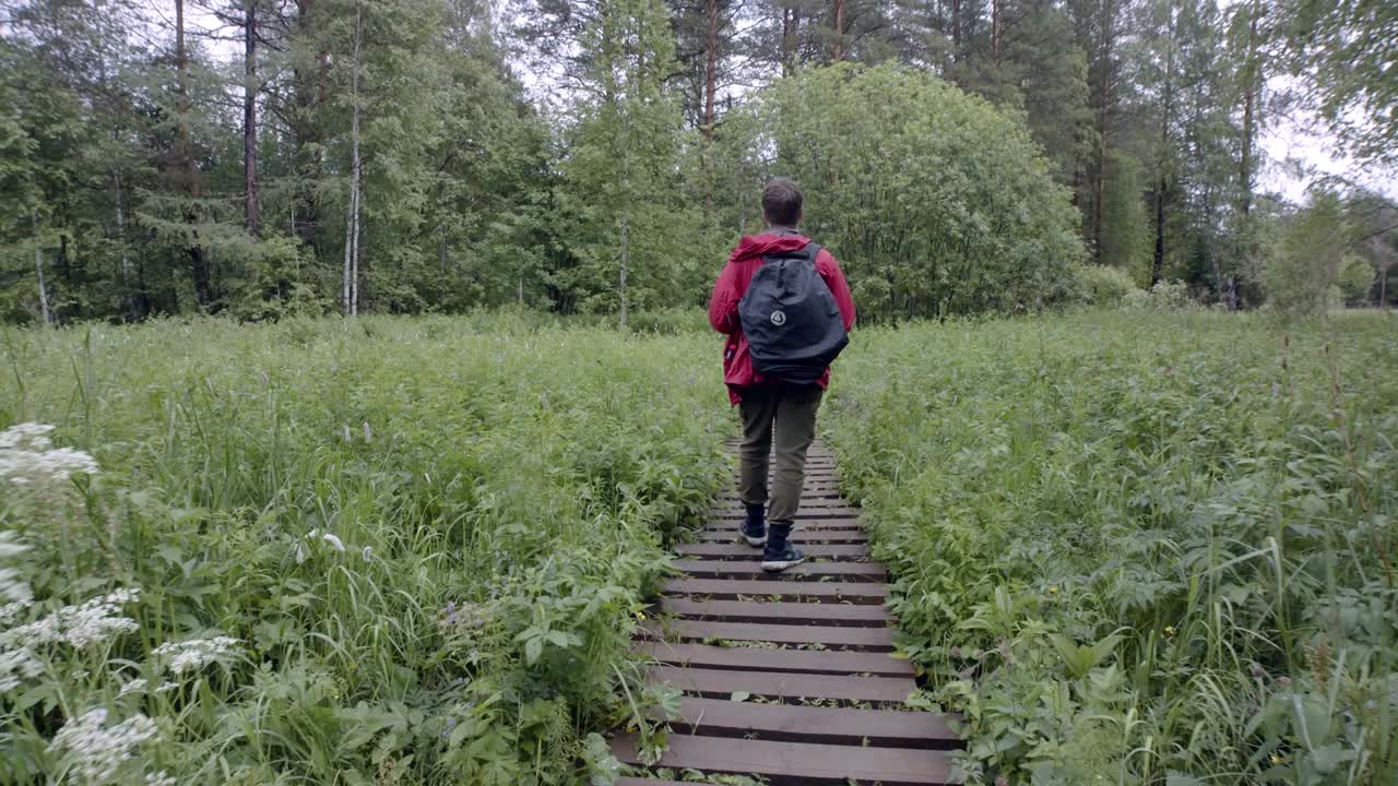 숲 을 가로질러 나무 로 된 길 을 따라 산책 하는 사람