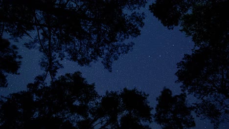 Lapso-De-Tiempo-Del-Cielo-Nocturno,-Estrellas-Giratorias-Y-Hermosos-árboles-En-Primer-Plano