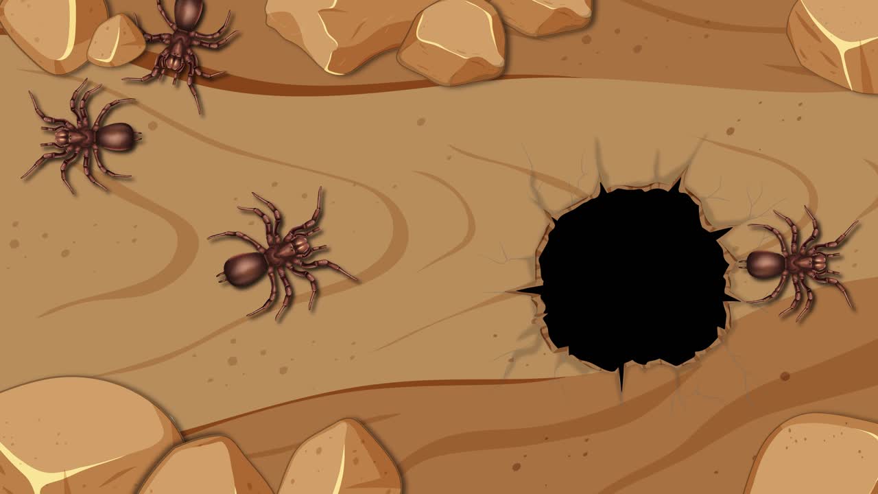 Animation of a spider moving around and entering a hole in the ground. Features smooth transitions and earthy tones