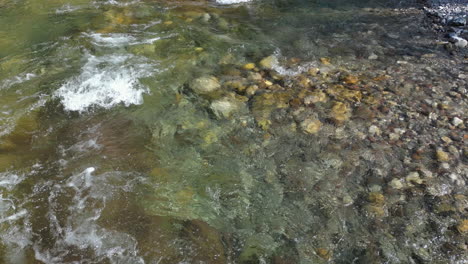 close up of river pans up to beautiful scene of riverside cliff with evergreen forest and mountains