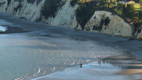 Drone shot capturing horses with riders galloping along the sandy beach in Tasman, New Zealand.