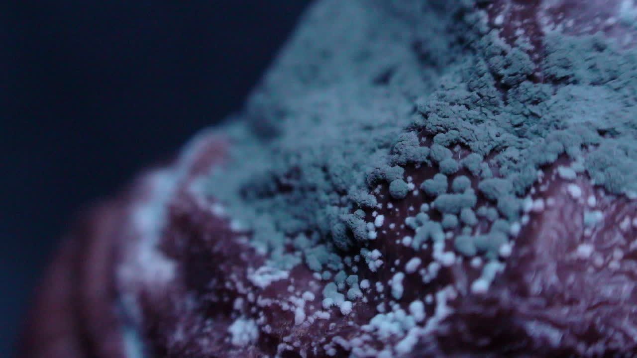 penicillium expansum en una pera vista de cerca