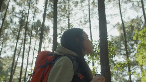 closeup of attractive young woman hiking in forest on sunny day